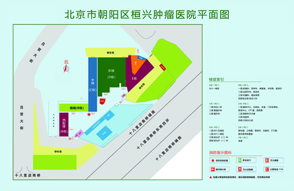 www操逼网站北京市朝阳区桓兴肿瘤医院平面图